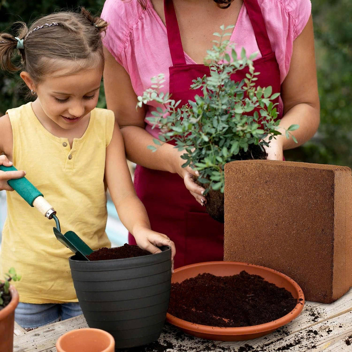 Stop Killing Your Plants With Bad Soil.